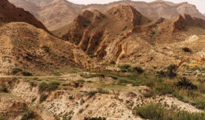 Tourisme Sidi Bouzid Tunisie: Une Aventure Culturelle Inoubliable