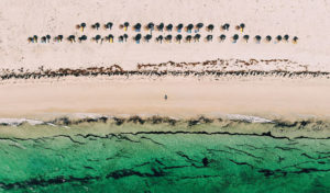 Djerba Médenine Tunisie Blog Etnafes