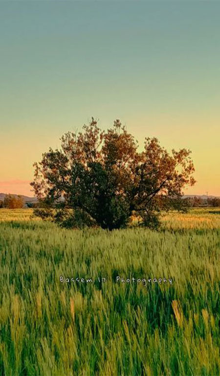 Essouk-El-Jadid-Sidi-Bouzid-Tunisie-5-Blog-Etnafes