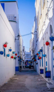 Tourisme Mahdia en Tunisie : Une Aventure entre Histoire et Plaisirs Côtiers