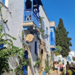 Sidi-Bou-Said-Tunis-19-Blog-Etnafes