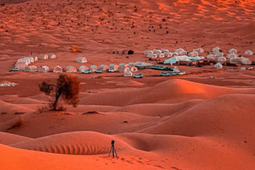 Sud Tunisien Kébili : Un Voyage au Cœur de l'Oasis et du Désert