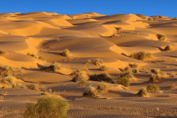 Tourisme désertique blog etnafes 2