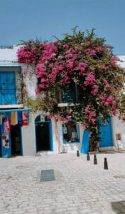 Djerba-Houmt-Souk-Médenine-Tunisie-13-Blog-Etnafes