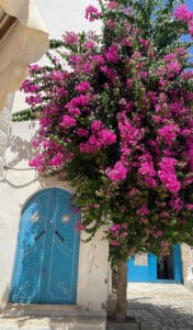 Djerba-Houmt-Souk-Médenine-Tunisie-6-Blog-Etnafes
