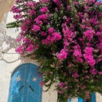 Djerba Houmt Souk Medenine Tunisie 6 Blog Etnafes
