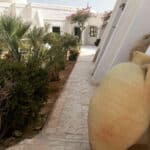 Musee de Guellala officielle Midoun Medenine Tunisie 2 Blog Etnafes