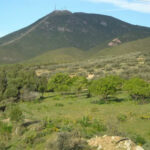 Parc National Djebel Boukornine Ben Arous Tunisie 1 Blog Etnafes