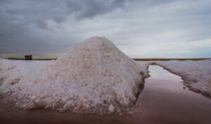 Salines de Thyna Sfax Tunisie Blog Etnafes