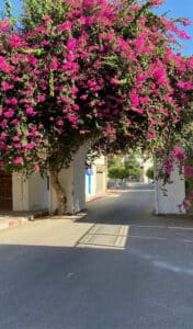 Zarzis-Médenine-Tunisie-Blog-Etnafes