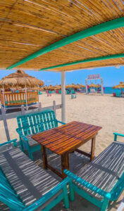 flamingo-coucou-beach-1-bizerte-blog-etnafes
