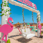 flamingo-coucou-beach-bizerte-blog-etnafes