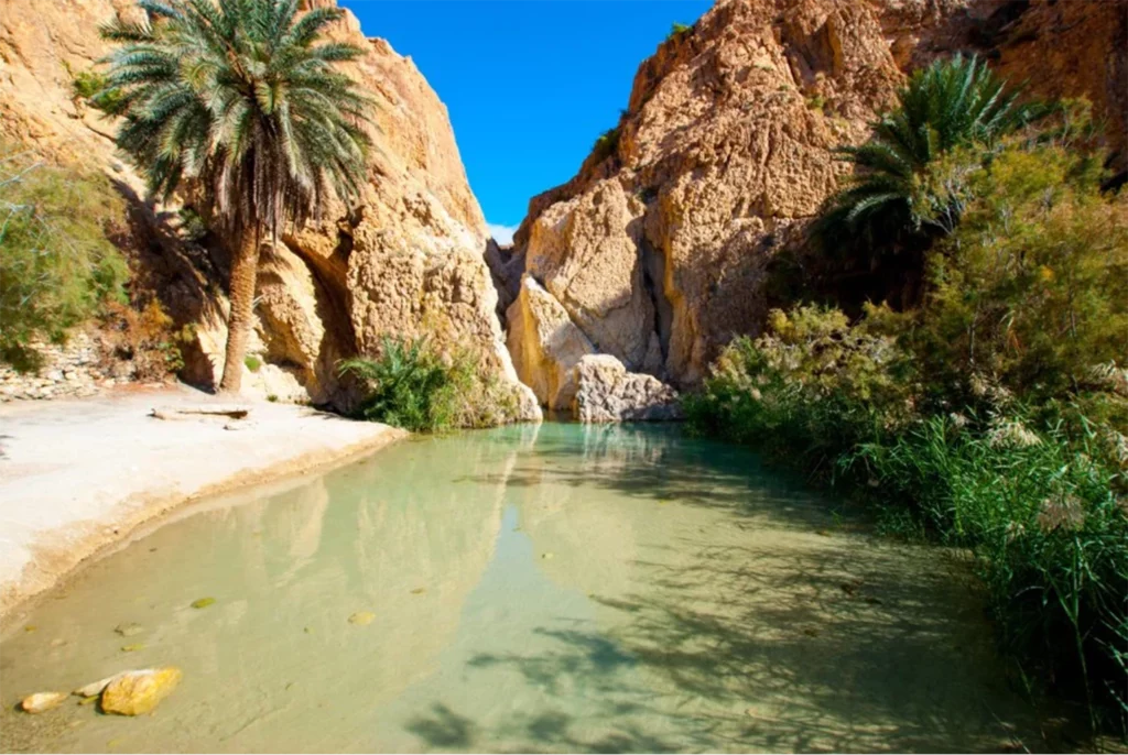 Tourisme Tozeur Tunisie Aventure dans l’Oasis Sud-blog-etnafes