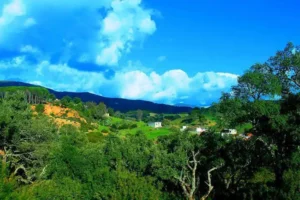 Road-trip dans la Tunisie verte 3 jours entre Tabarka et Aïn Draham