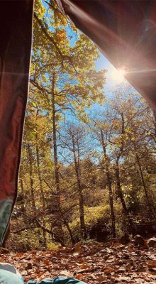 Aïn Draham Camping Jendouba Tunisie Blog Etnafes