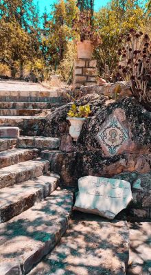 Aïn Draham Nature Jendouba Tunisie Blog Etnafes