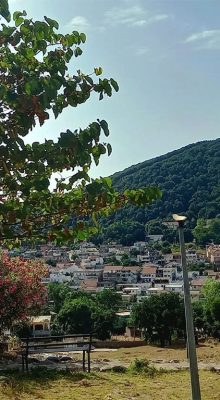 Aïn Draham Nature Jendouba Blog Etnafes