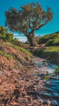 une Découverte Tunisie Djebel Bargou Siliana 1 Tunisie Blog Etnafes