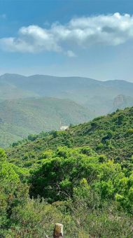 une Découverte Tunisie Djebel Bargou Siliana-Tunisie-Blog-Etnafes