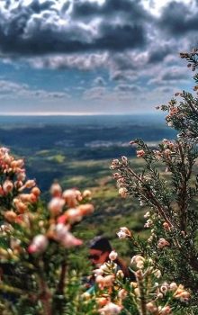 Tourisme à Djebel Sidi Latrach Nabeul 3 Tunisie Blog Etnafes