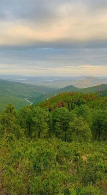 Nature Tabarka Jendouba Blog Etnafes