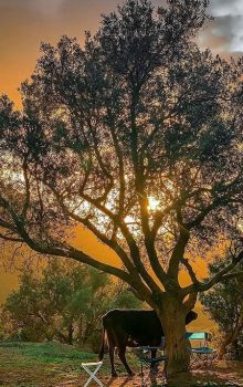 Nature Zaghouan Tunisie Blog Etnafes