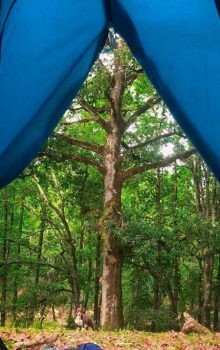 Oued Zin Jendouba Camping Blog Etnafes