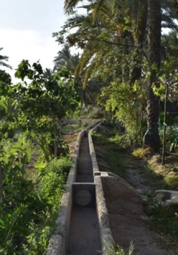 Palmeraie de Ghannouch-blog-etnafes