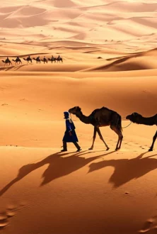 Tourisme-Tozeur-Tunisie-3-blog-etnafes