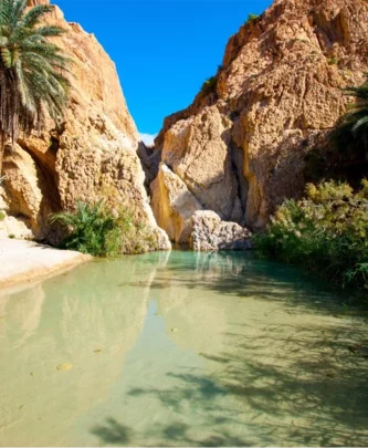 Tourisme Tozeur Tunisie Aventure dans l’Oasis Sud-blog-etnafes