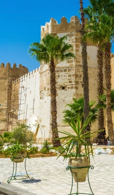 Tourisme à Sfax Tunisie : Une Exploration Authentique-blog-etnafes