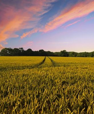 L'agrotourisme en Tunisie
