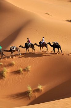 Tourisme désertique blog etnafes 4