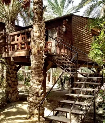 Maison d'hôte Tozeur : Diar Abou Habibi