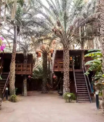 Maison-d-hôte-Tozeur Maisons d’hôtes écologiques en Tunisie