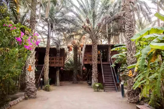 Maison-d-hôte-Tozeur Maisons d’hôtes écologiques en Tunisie