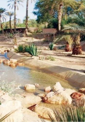 oasis-gabes-blog-etnafes