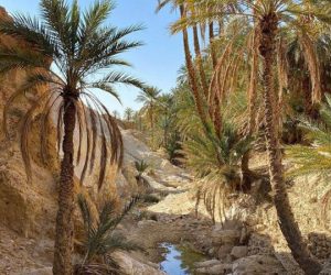 Tourisme Montagnard Blog.Etnafes