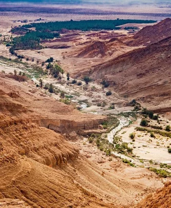 tourisme-tozeur-tunisie aventure dans l'oasis sud-blog-etnafes